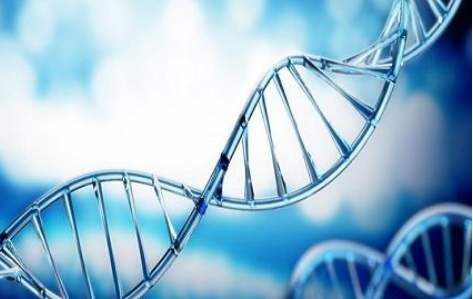 百(bai)傲2019再(zai)穫三證(zheng)，進入DNA免提時代